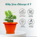 GoHooked orange 6-inch plastic planter pot with saucer, featuring a modern ribbed design and excellent drainage for indoor/outdoor plants.