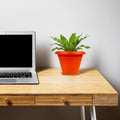 GoHooked orange plastic planter pot with saucer tray, featuring a modern ribbed design, holding a green plant on a wooden desk next to a laptop.