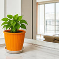 GoHooked orange plastic planter pot with drainage hole and tray, 8 inch, modern style for indoor/outdoor gardening.