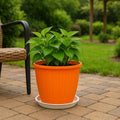 GoHooked orange plastic planter pot with drainage hole and tray, 8 inch, for indoor/outdoor gardening.