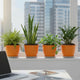 Go HookedPlastic Duro Flower Pot for Gardening, Indoor/Outdoor Planter-Orange (8 Inch)(Pack of 4 with Tray)