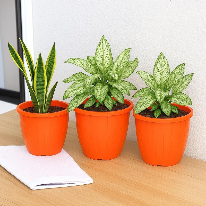 GoHooked set of 3 orange plastic planters with snake plant and two varieties of green leafy plants.