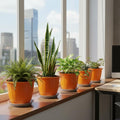 GoHooked orange plastic planters with trays, 8-inch, holding various plants like snake plant and fern on a windowsill.
