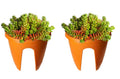 Go Hooked orange plastic 12-inch railing planters with succulents. Set of 2.