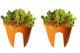 Go Hooked Flower Pots | Railing Pots | Hanging Planters | Flower Pots | 12 Inch | Orange | Set of 2