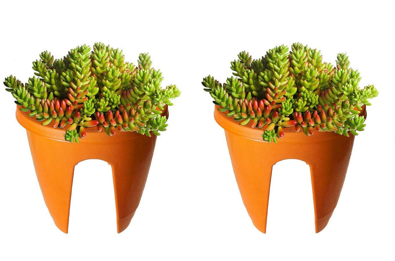 Go Hooked orange plastic 12-inch railing planters with succulents. Set of 2.