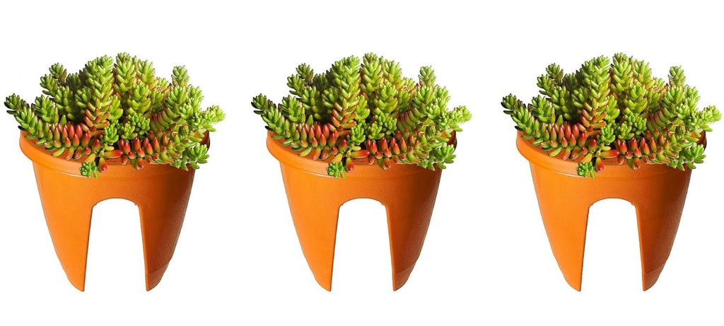 GoHooked set of 3 orange plastic 12-inch railing planters with green and red succulents