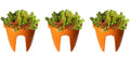 GoHooked orange plastic 12-inch railing planters with succulents. Set of 3.