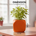 GoHooked orange square plastic Tulsi pot with Hindu religious symbols and Jai Shri Ram inscription. Lightweight, 17.5 cm.