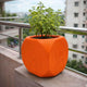 Go Hooked Premium Plastic Tulsi Plant Pot for Home & Pooja Room | 17.5 cm Square Designer Planter with Hindu Religious Symbols | Lightweight & Durable Indoor Outdoor Flower Pot (Orange)