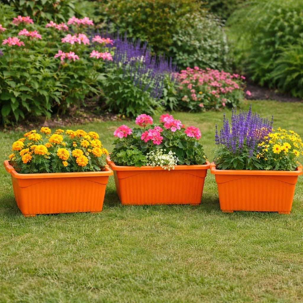 Go Hooked set of 3 orange rectangular plastic plant pots with flowers, perfect for home or garden.