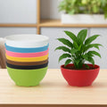 GoHooked set of 8 multicolor lightweight polymer oval plant pots, one red pot with a plant.