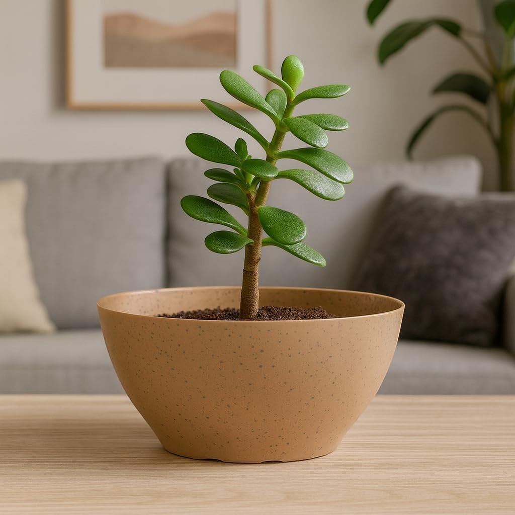 GoHooked oval polymer plant pot with speckled texture, 22cm, perfect for succulents and indoor plants.