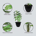GoHooked artificial Philodendron Mamei plant with 12 green patterned polyester leaves in a black pot.