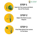 GoHooked Philodendron Mamei Plant assembly instructions: Step 1, Step 2 adjust stems, Step 3 attach leaves.