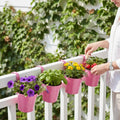 Go Hooked pink metal hanging planters with purple petunias, basil, yellow marigolds, and strawberries on a white railing.