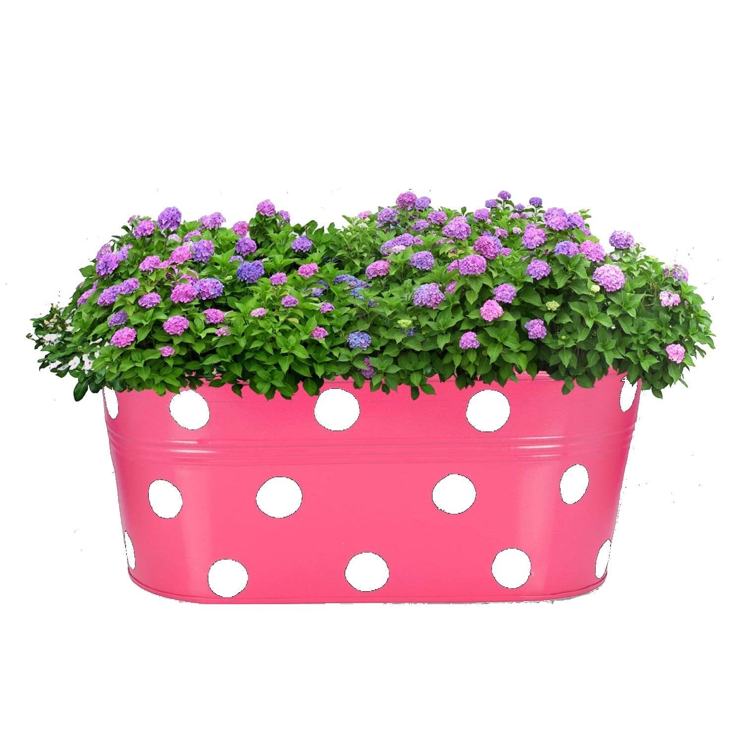 GoHooked 12 inch oval pink metal hanging planter with white polka dots, filled with purple and pink hydrangeas.