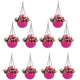 Go Hooked Pots | Plastic | Hanging Pot | Pink | Pot Diameter- 7.1 Inch | Pot Height-4.8 Inch | Pot Thickness-3 mm | Chain Length-13 inch Approx. | 10 Pieces