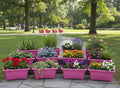 GoHooked pink rectangular plastic planters filled with various flowers and plants, arranged on a stone path in a park.