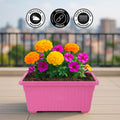 GoHooked pink rectangular plastic planter with yellow and purple flowers, 35cm, weather and fade resistant.