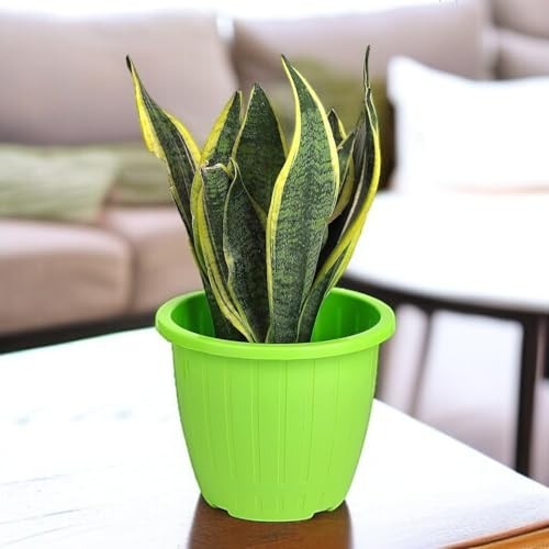 GoHooked bright green plastic Duro flower pot, 10 inch, with ribbed texture, holding a snake plant.