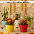 GoHooked multicolor plastic Duro flower pots, 10-inch, set of 6, perfect for indoor/outdoor gardening and festive decor.