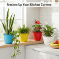 GoHooked multicolor plastic Duro flower pots, 10-inch, set of 8, for indoor/outdoor gardening.