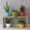 GoHooked multicolor 10-inch plastic Duro flower pots with fluted design, set of 12 for indoor/outdoor gardening.