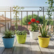 Go Hooked Plastic Duro Flower Pot for Gardening, Indoor/Outdoor Planter (Multicolor) (10 INCH)(Pack of 4)