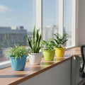 GoHooked 10-inch Duro plastic flower pots in blue, white, lime green, and yellow, perfect for indoor or outdoor gardening.