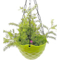 GoHooked lime green diamond-patterned plastic hanging planter with chain, holding a green plant.
