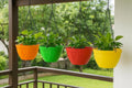 GoHooked multicolor plastic hanging triangle planters with green plants, set of 4, 8.5 inch diameter
