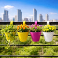 GoHooked assorted color plastic lily hanging pots with hooks, pack of 4, 6-inch size, ideal for balconies and gardens.