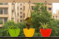 GoHooked set of 5 multicolour plastic hanging pots with chains, ideal for balcony plants.