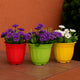 Go Hooked Multicolor Plastic Jasmine Garden Planters for Plants, Flower Pots for Home Garden, Plant Container Set (Set of 3, Multicolor) (20.5x15 cm)