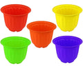 GoHooked set of 5 multicolor plastic Jasmine garden planters, 20.5x15 cm, ideal for indoor and outdoor use.