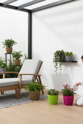 GoHooked multicolor plastic plant pots, 5.5 inch Oslo style, BPA-free polypropylene, tabletop mounting.