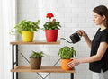 GoHooked multicolour plastic plant pots with textured design, 5-pack. Woman watering a plant.