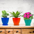 GoHooked set of 3 multicolour diamond-patterned plastic planter pots with saucers, holding plants.