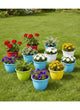 Go Hooked Plastic Duro Flower Pot for Gardening, Indoor/Outdoor Planter (Multicolor) (10 INCH)(Pack of 12)