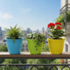 Go Hooked Sunshine Beautiful Indoor-Outdoor Plastic Flower Pots & Planter for Plants-Multicolor, Pack of 3
