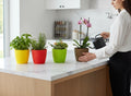 GoHooked Oslo plastic pots in yellow, red, green, and brown. Pack of 5, ideal for indoor/outdoor plants.