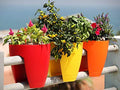 Go Hooked 12-inch multicolour plastic railing pots with vibrant flowers, perfect for balconies.