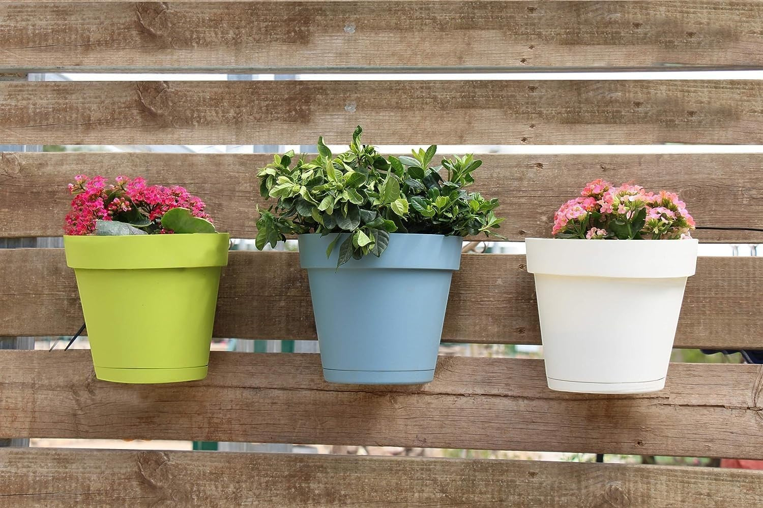 Go Hooked plastic wall hanging pots in lime green, sky blue, and white, holding plants and flowers.
