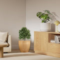 GoHooked Pluto 12-inch brown polymer planter pot with a modern round design, featuring a drainage hole for healthy plants.
