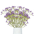 GoHooked 5pcs purple artificial baby's breath flowers with realistic rubber flower heads and flexible plastic stems for floral arrangements.