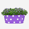 Go Hooked purple metal railing planter with white polka dots, filled with lush green foliage and purple flowers.