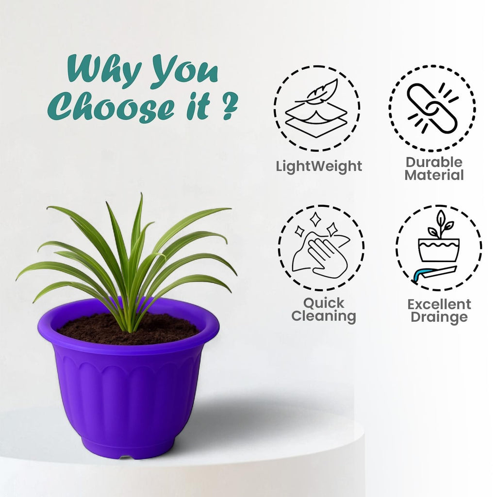 GoHooked purple plastic jasmine garden planter with a plant, featuring lightweight, durable material, quick cleaning, and excellent drainage.
