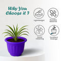 GoHooked purple plastic jasmine garden planter with a plant, featuring lightweight, durable material, quick cleaning, and excellent drainage.