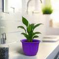 GoHooked purple plastic garden planter with decorative fluted sides, holding a green plant.